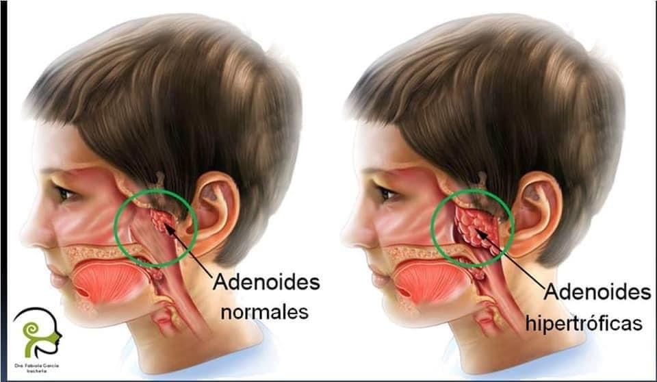 Fabiola García Iracheta-89