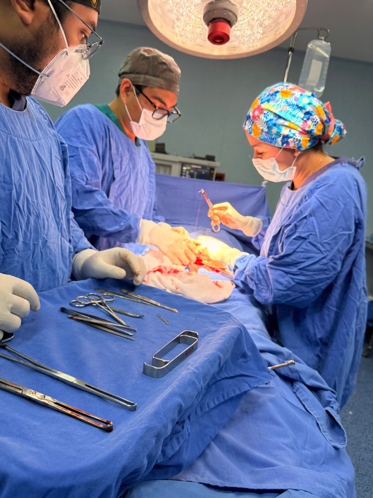 Elibel Perez Vargas-12