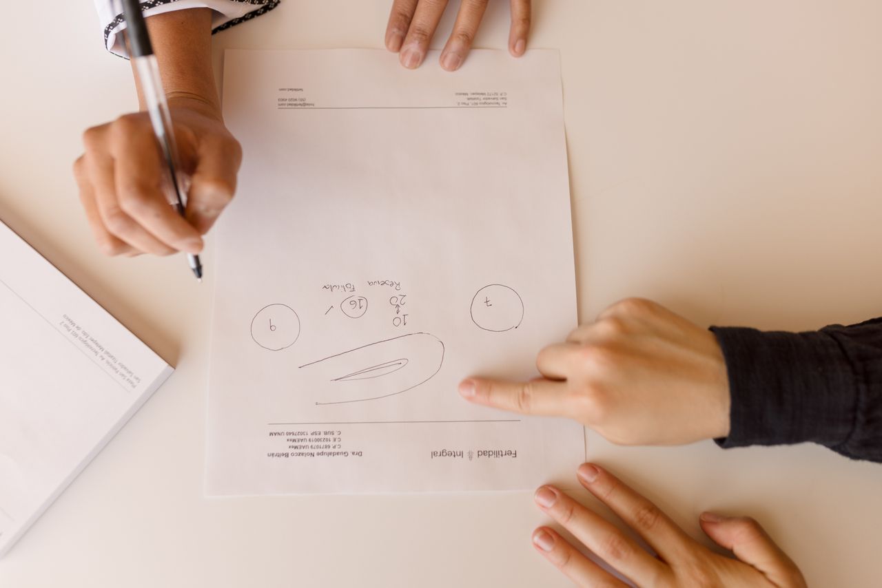 María Guadalupe Nolazco Beltrán-5