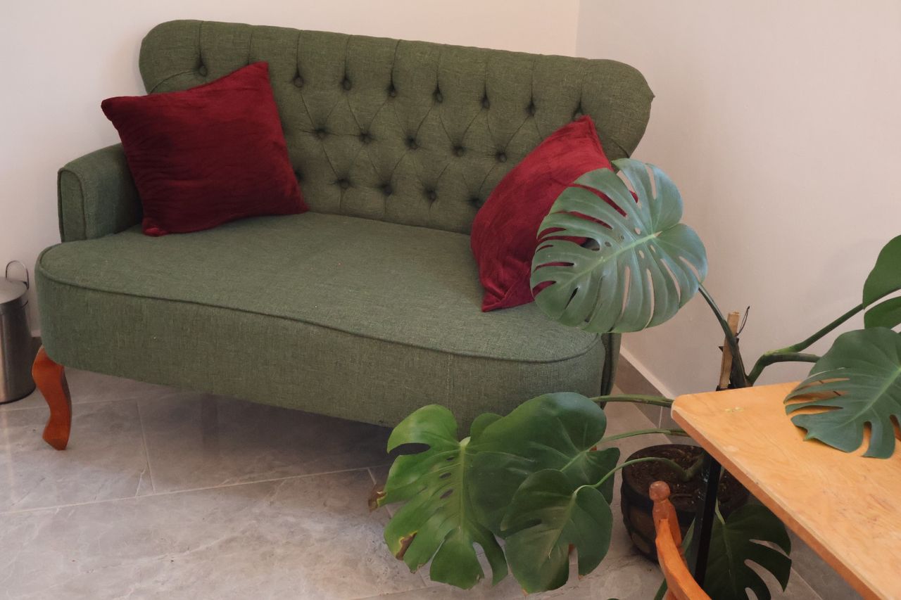 Félix Romero Flora-6