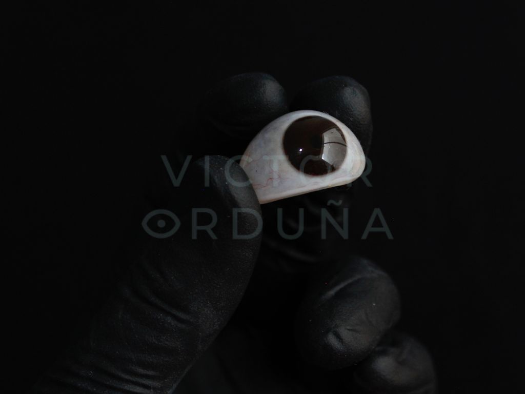 Víctor Felipe Orduña López-5
