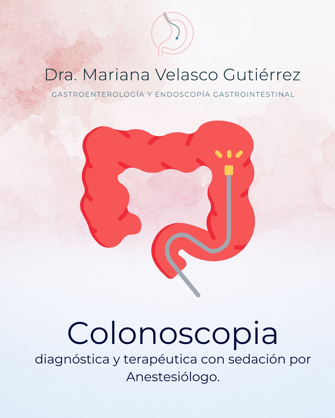 Mariana Velasco Gutiérrez-6