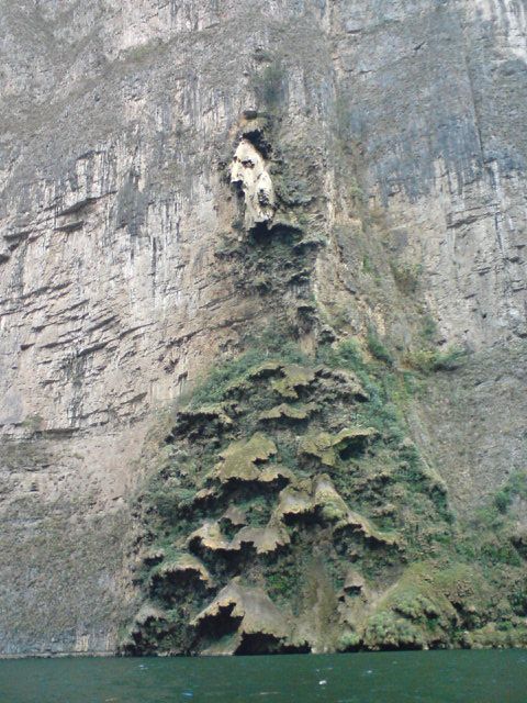 Horacio Contreras Colín-31