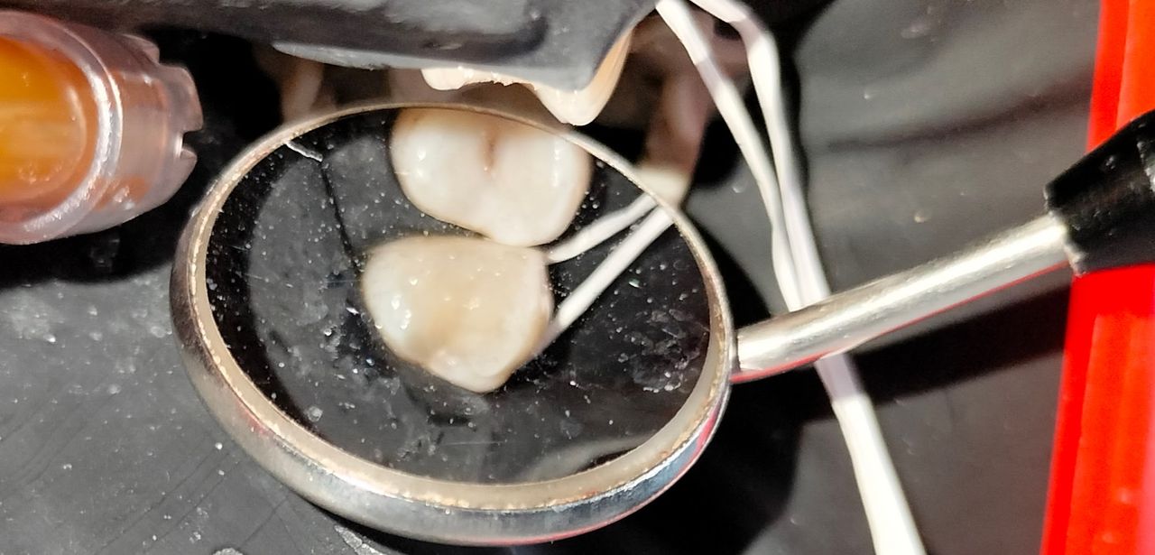 Yaneth Gutiérrez Sánchez-14