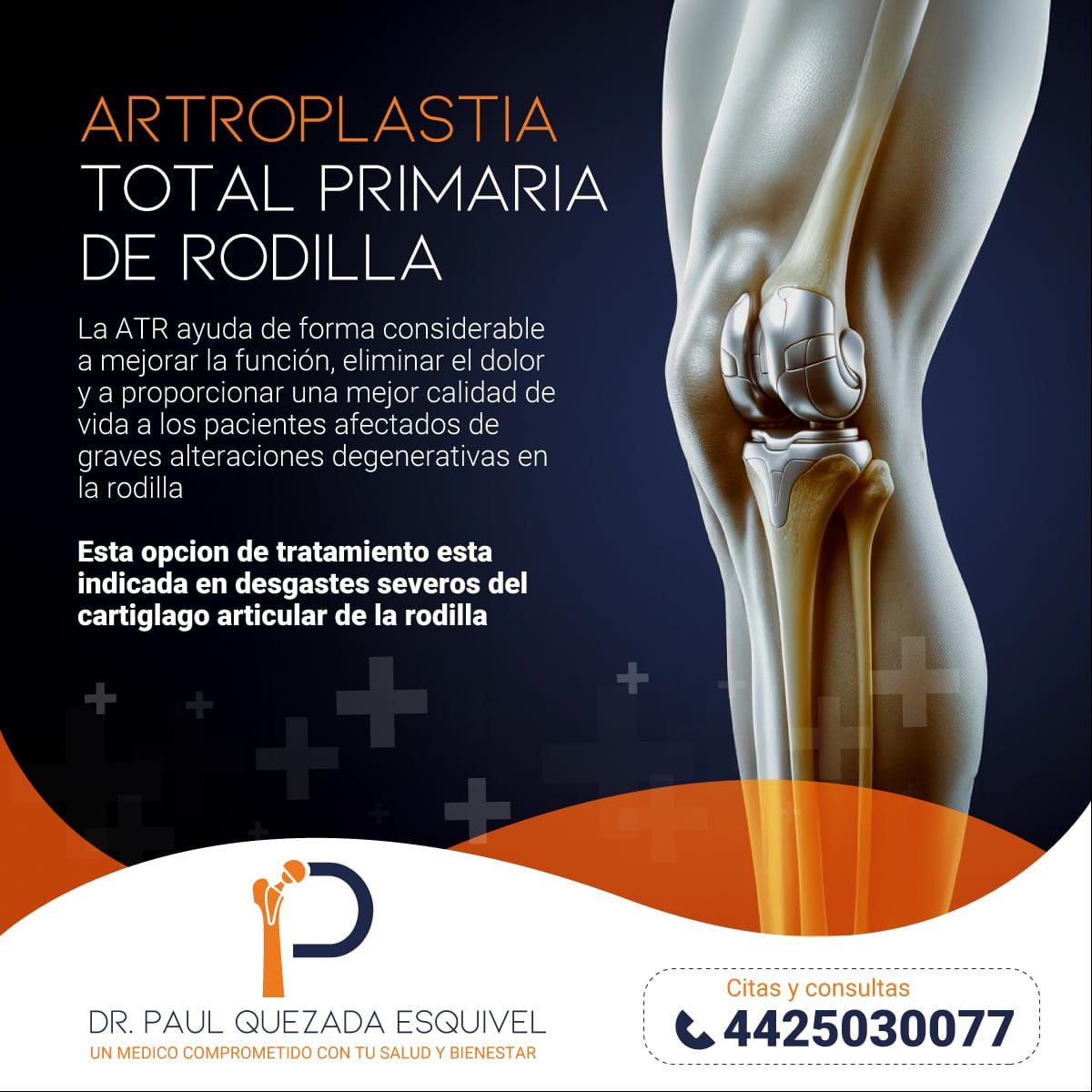 Paul Quezada Esquivel-15