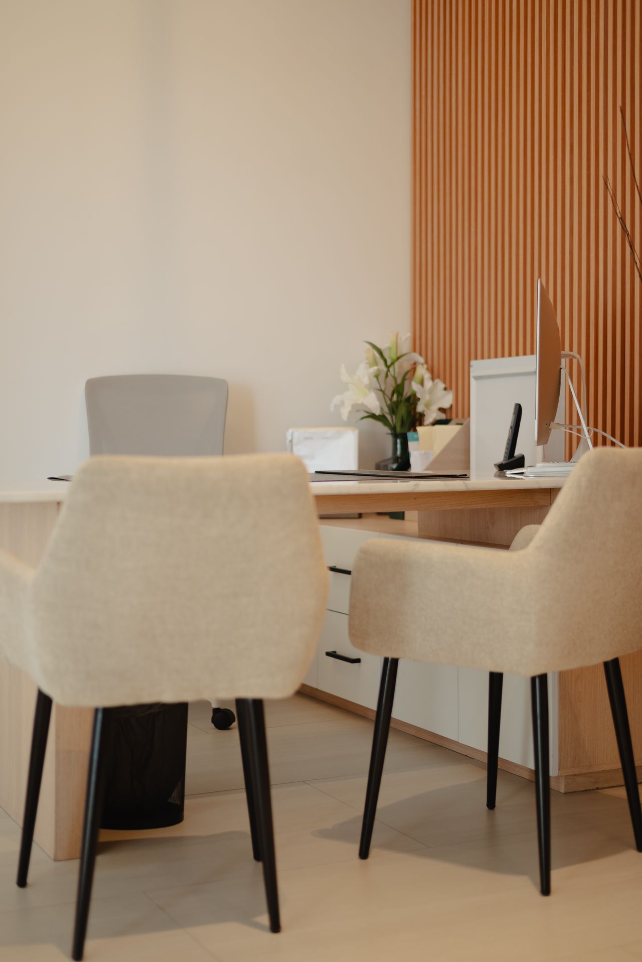 Ana Isabel Nieva Silva-0