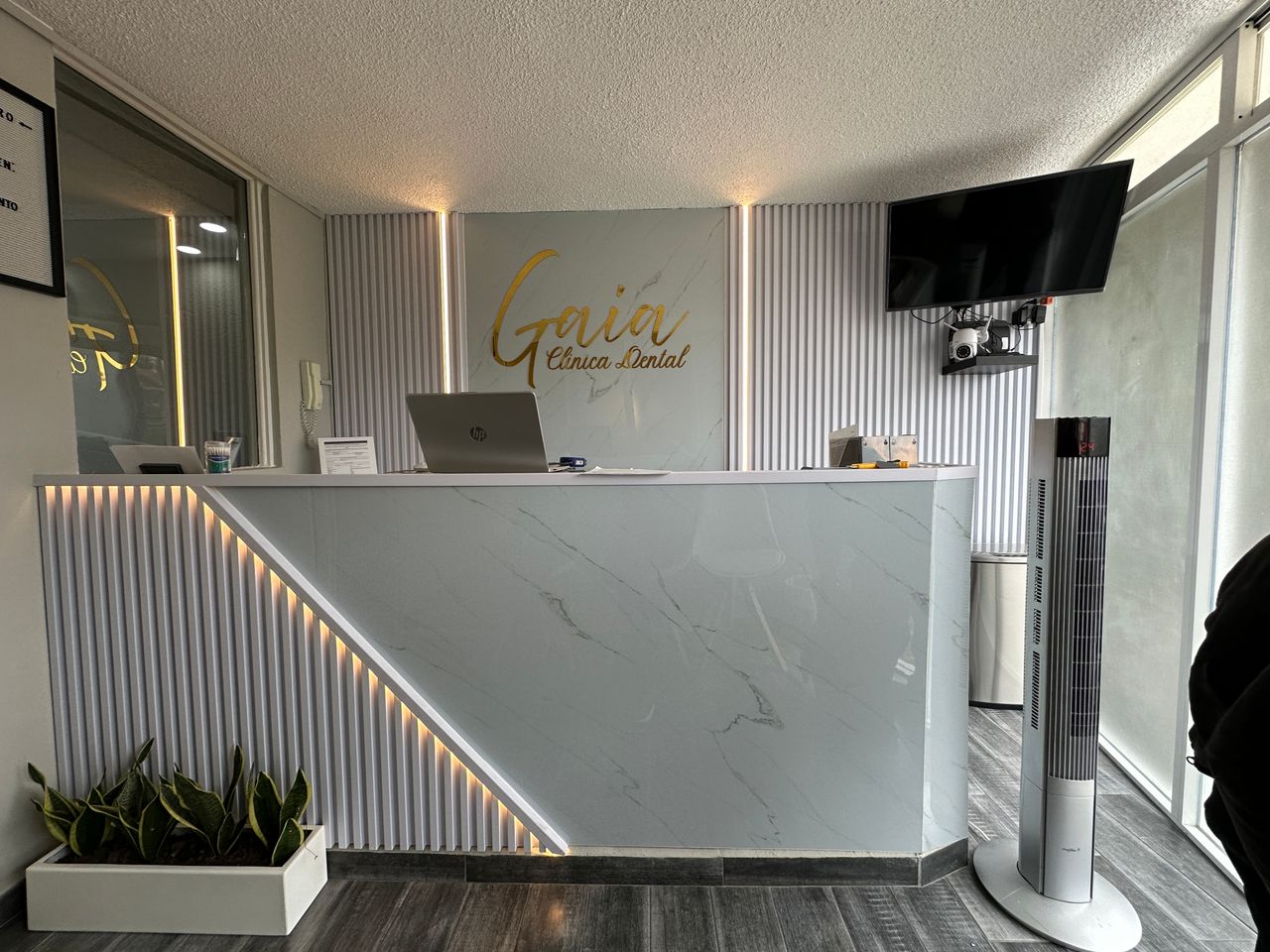 Daniel Ortiz Licea-0