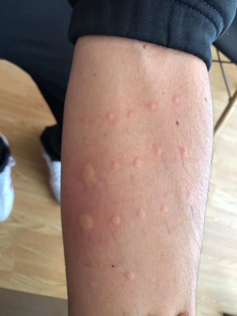 Gisela Herrera Escalante-1