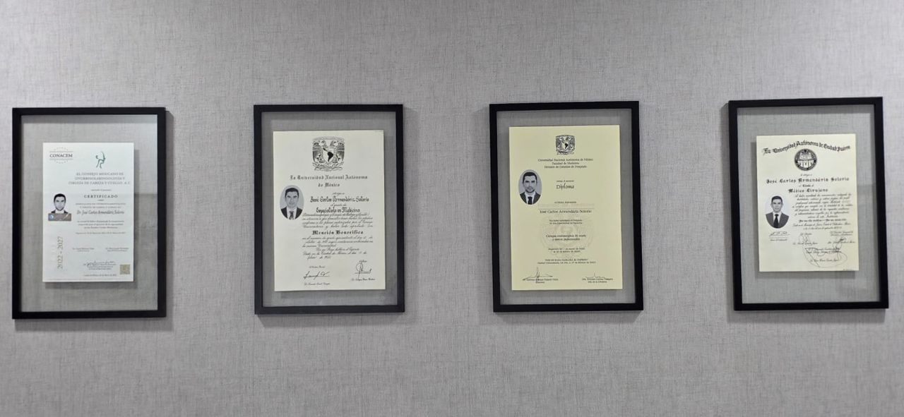 José Carlos Armendáriz Solorio-4