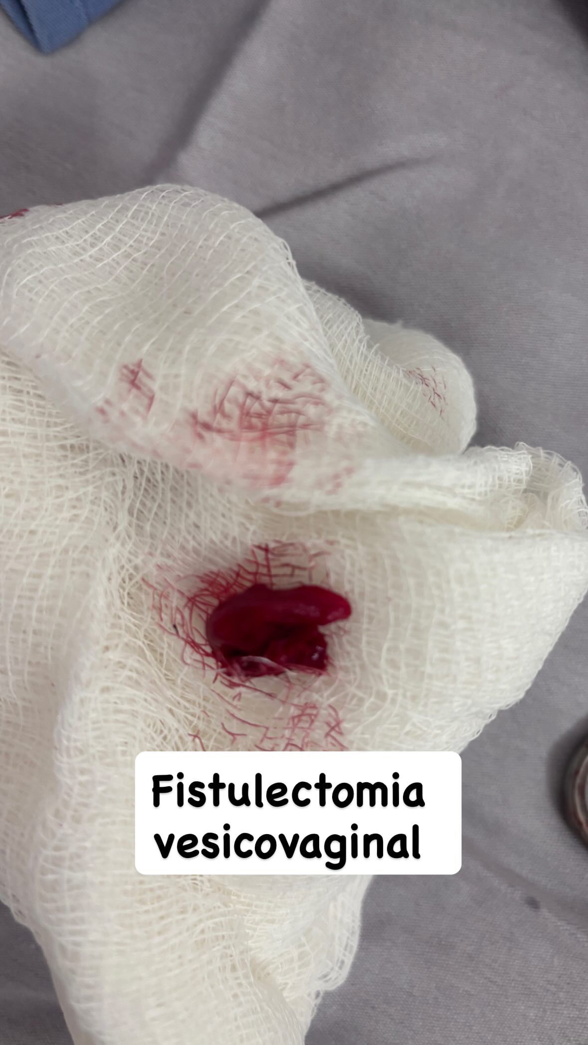 Ricardo Martinez Alaniz-3