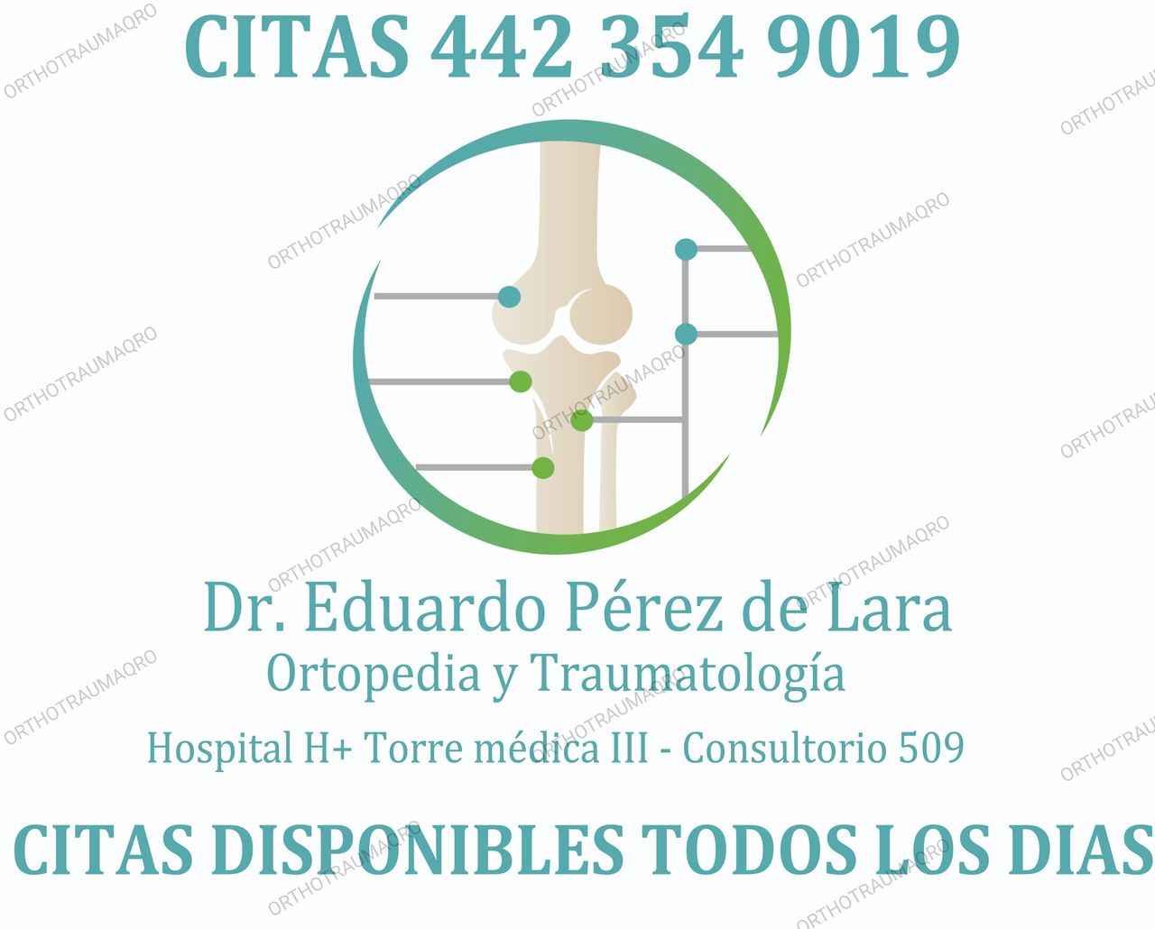 Eduardo Francisco Pérez De Lara Rodriguez-0