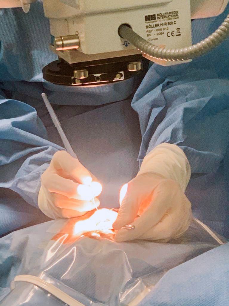 Giselle Bernal Martínez-6