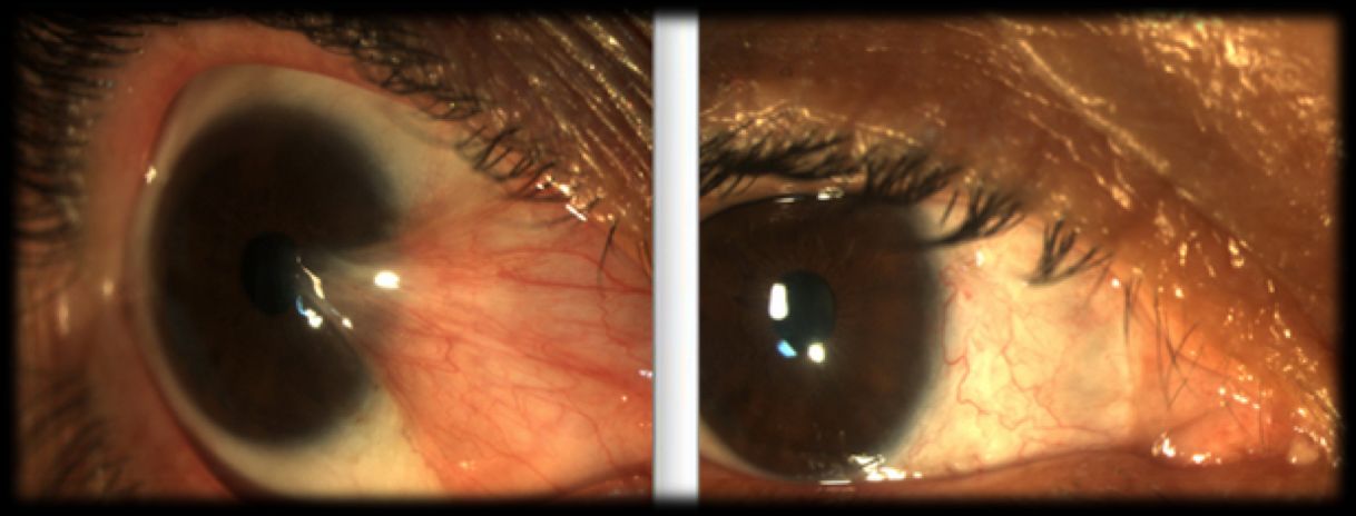 Karla Itzel Rojas Morales-4