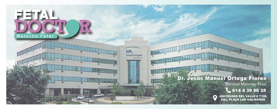 Jesús Manuel Ortega Flores-19