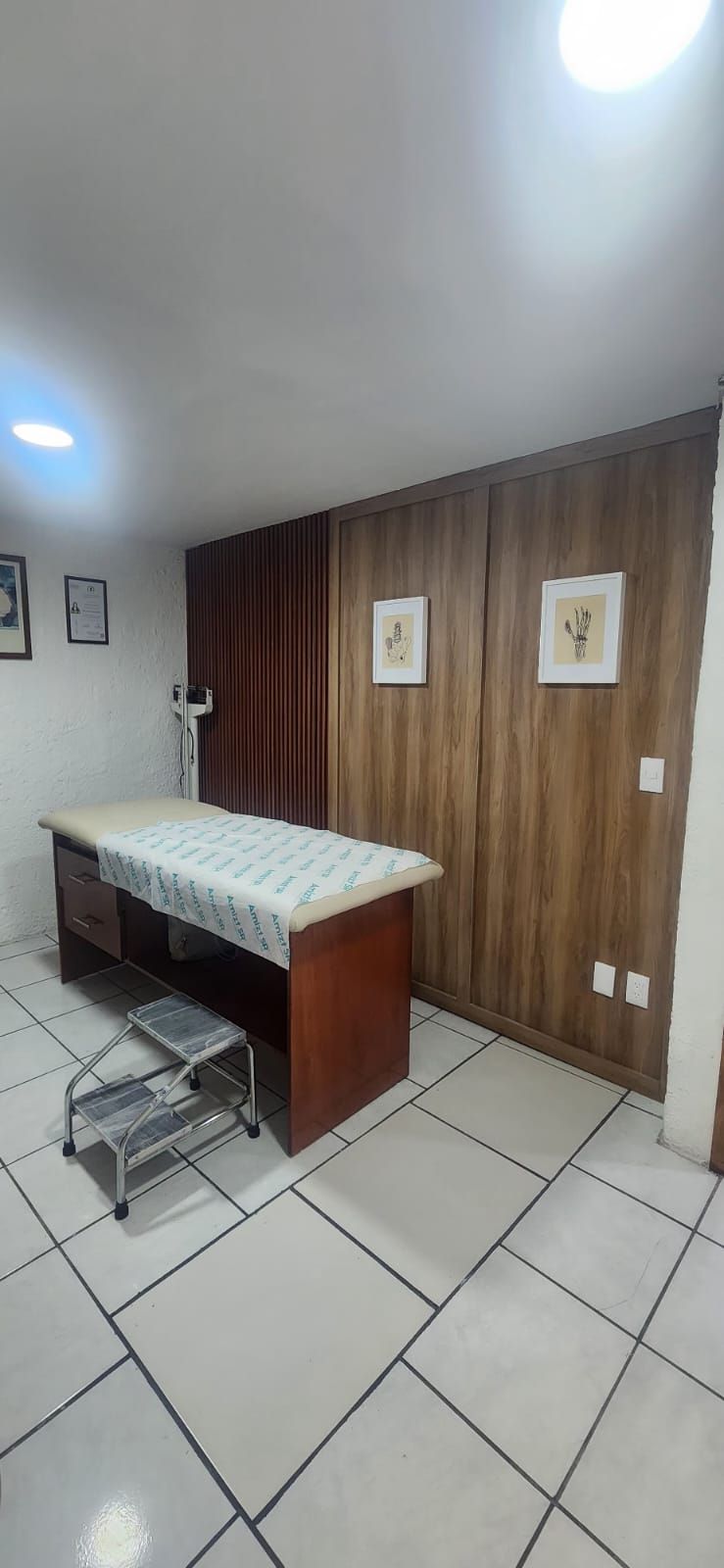 Livier Gómez Limón-3