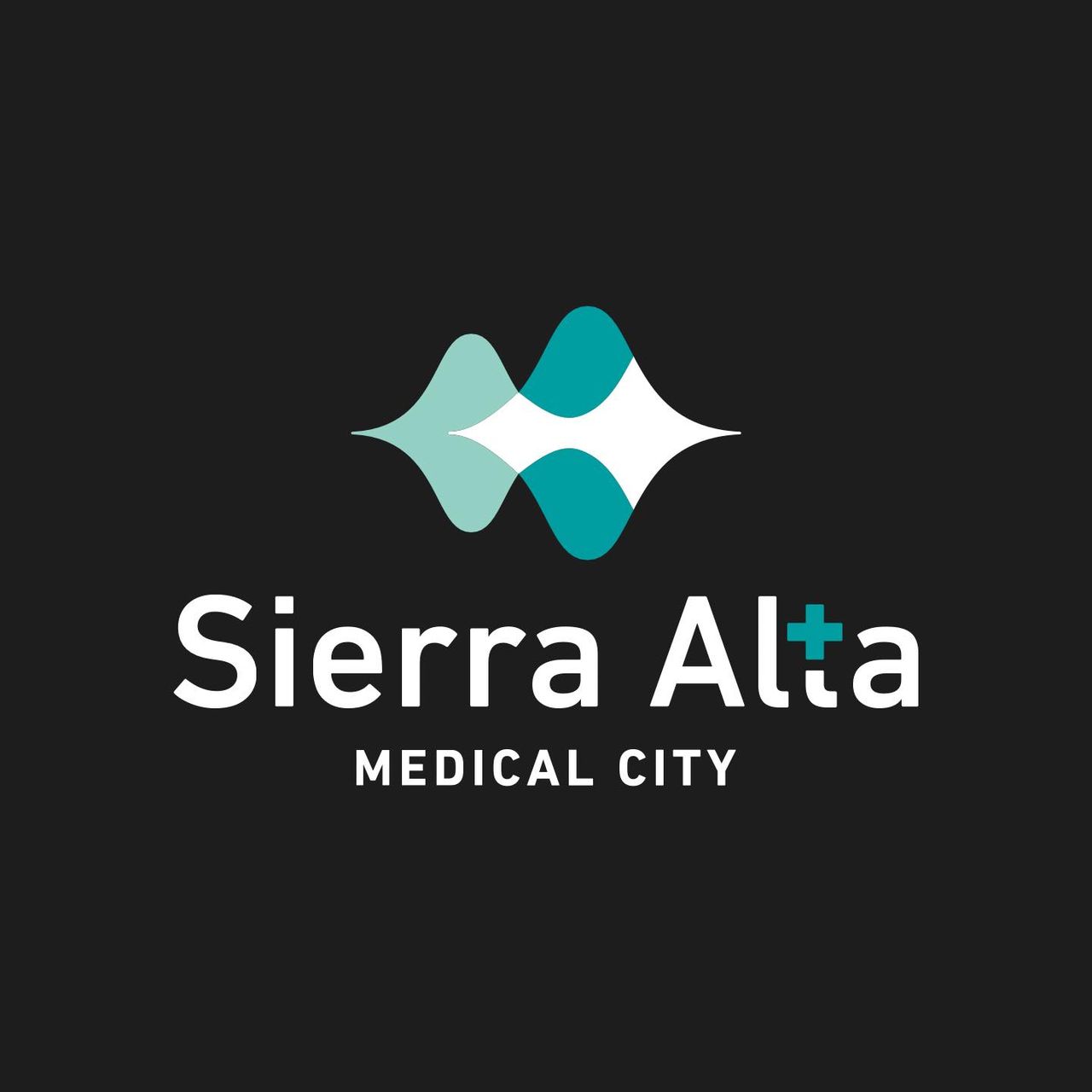 Jesús A. Vázquez Mena-5