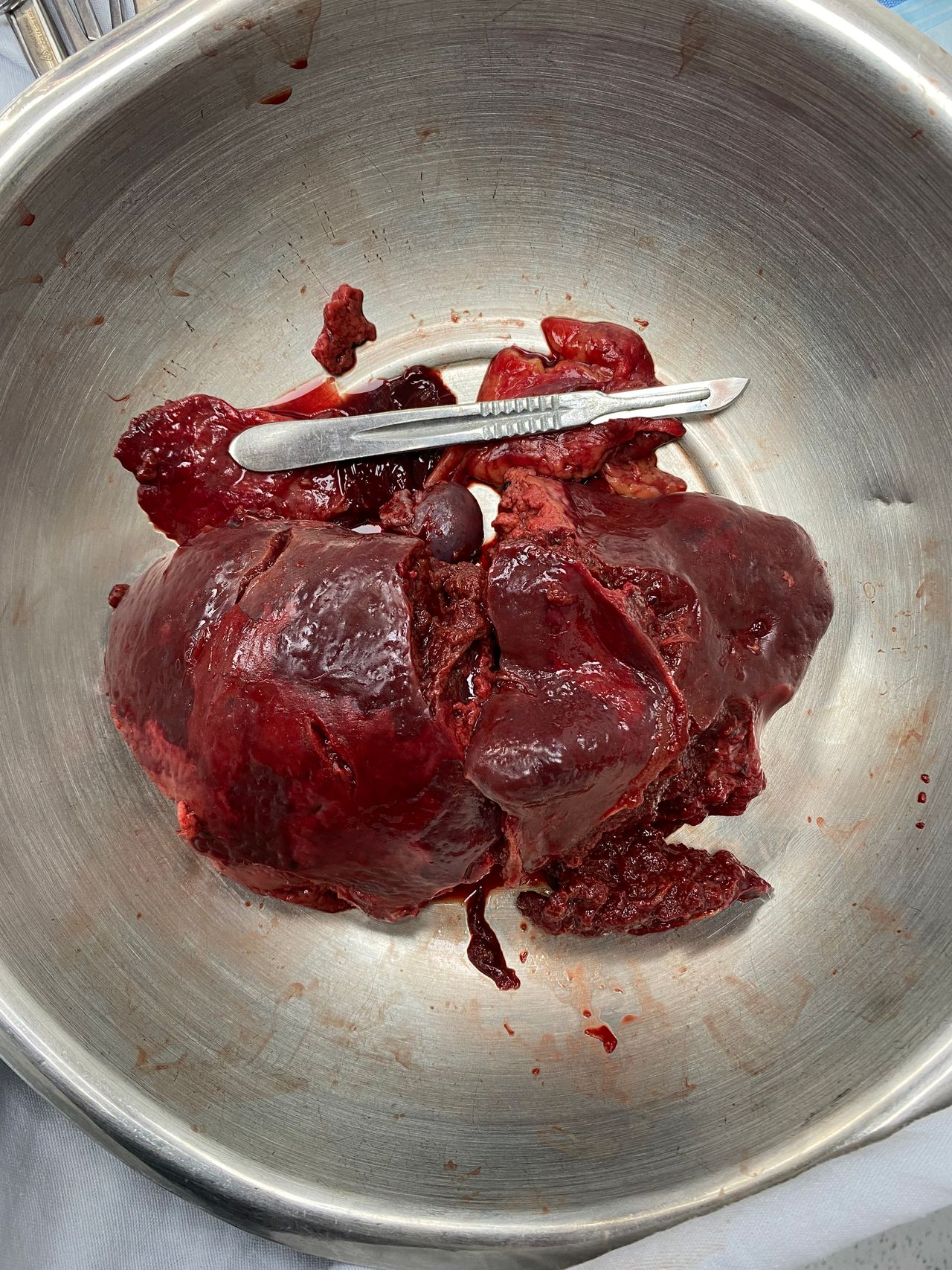 Jose Luis M. Urias Aguirre-7