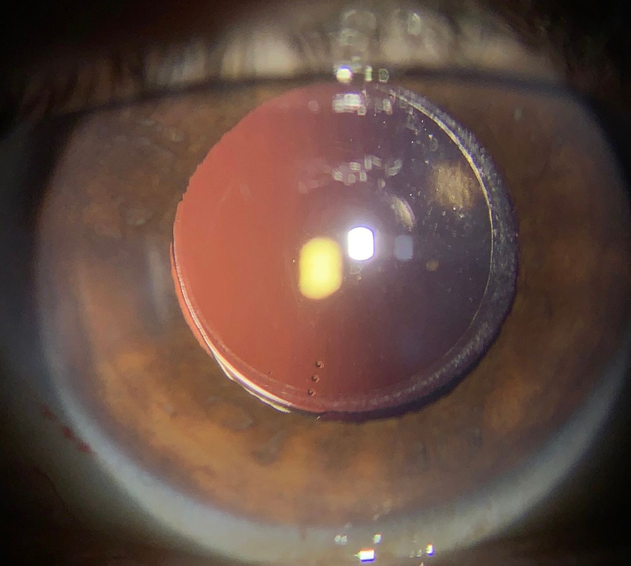 Miguel Angel Ibañez Hernandez-22