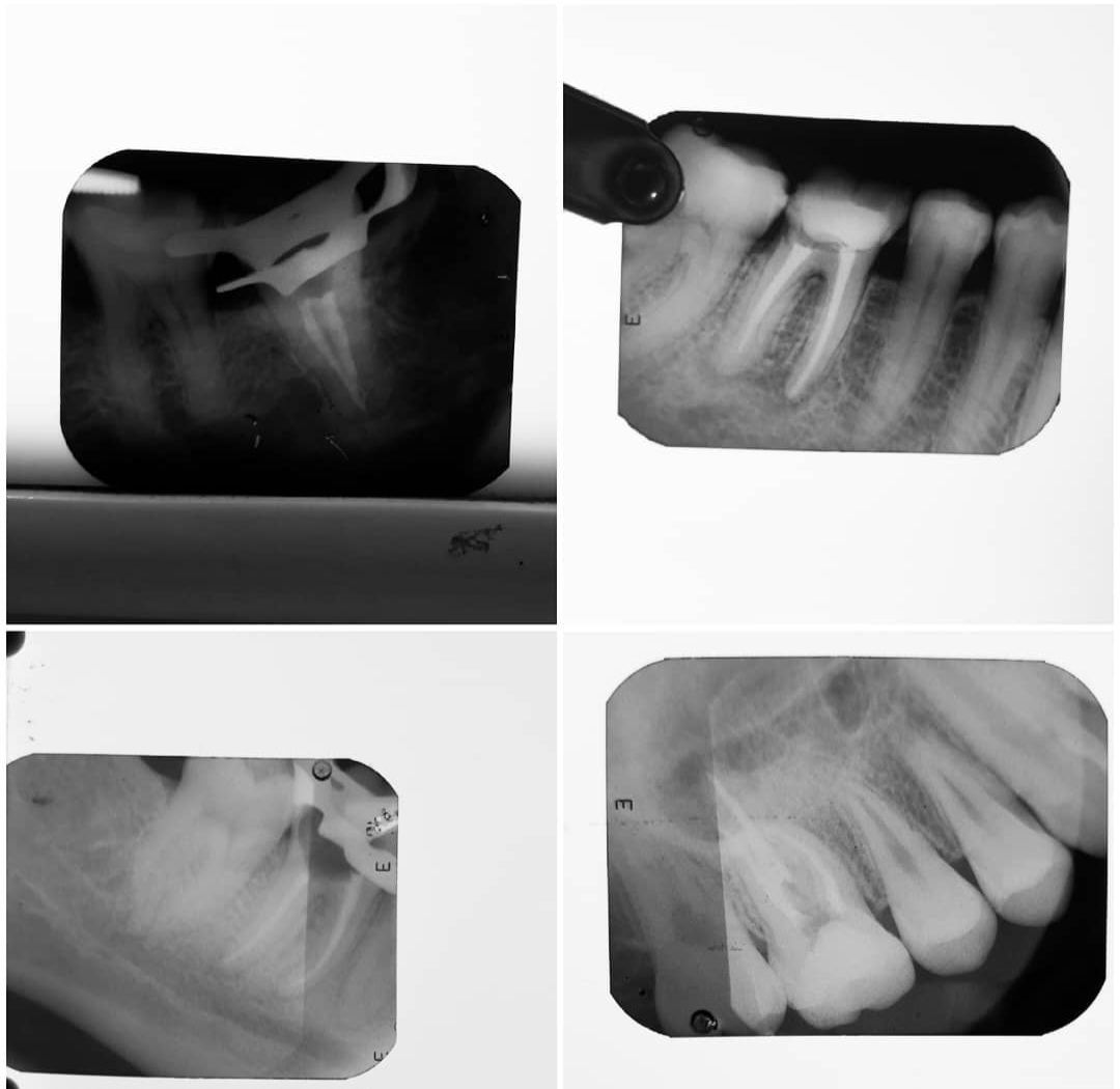 Leslie Michelle Galan Bahena-6