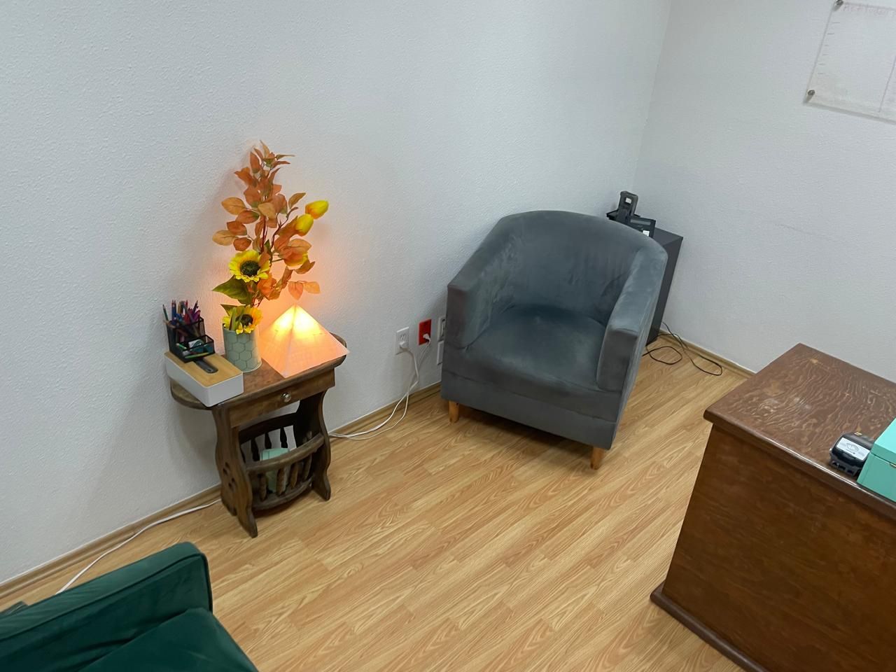 Hilda Helse Saúdeh-4