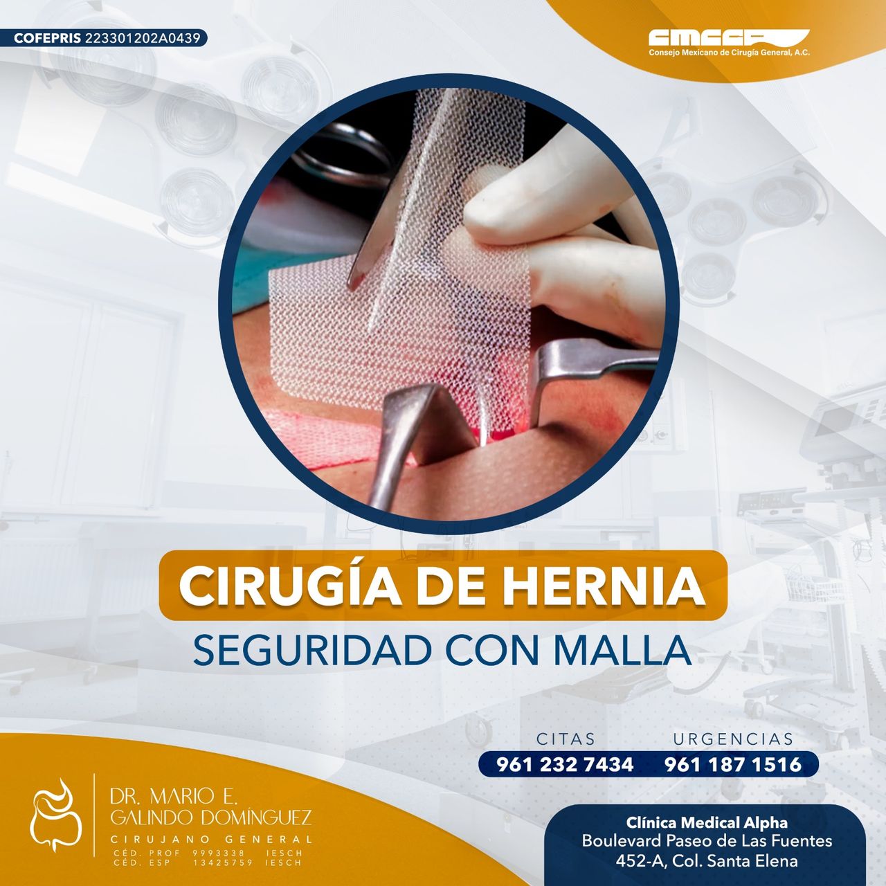 Mario Enrique Galindo Dominguez-4