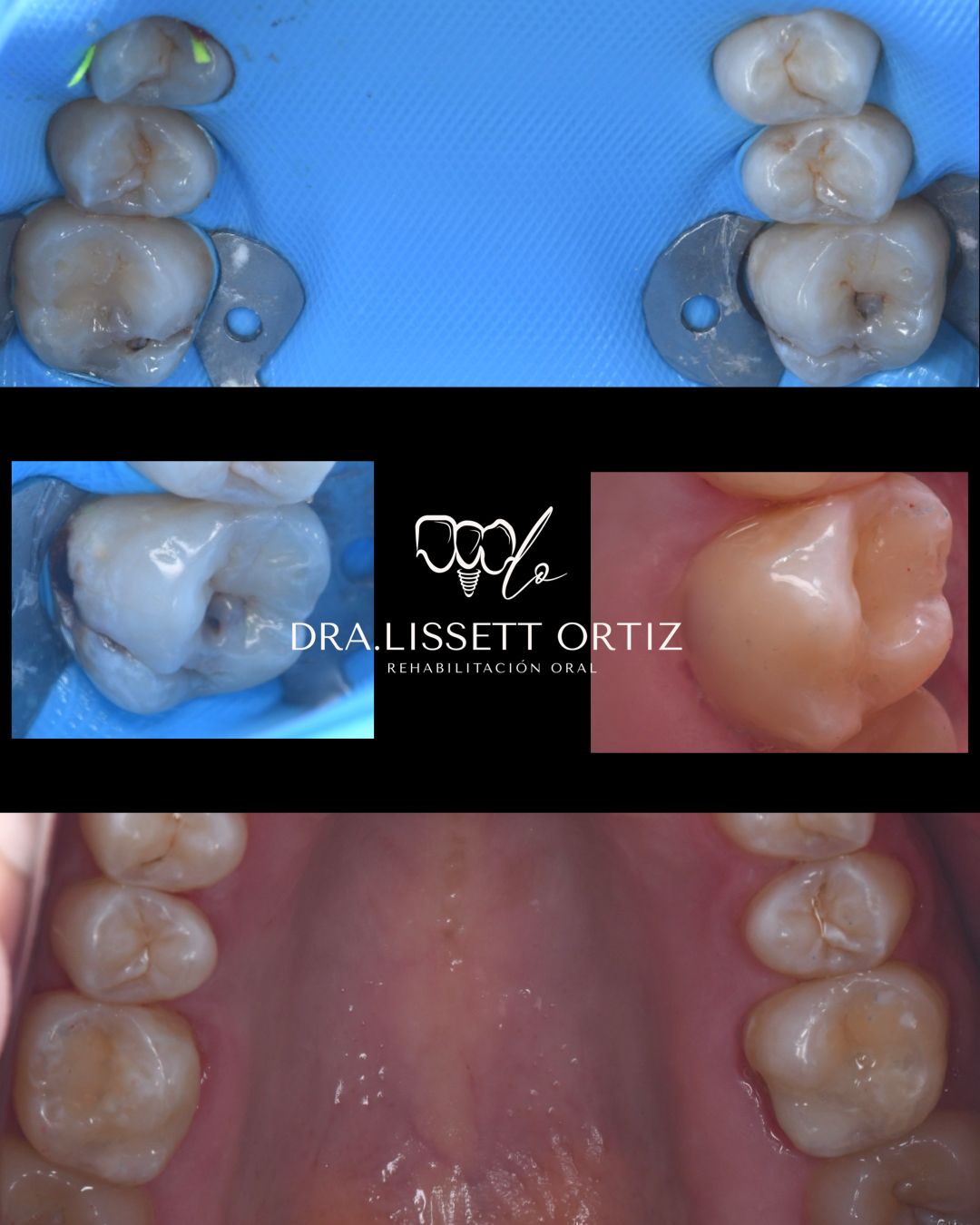 Ana Lissett Ortiz-10