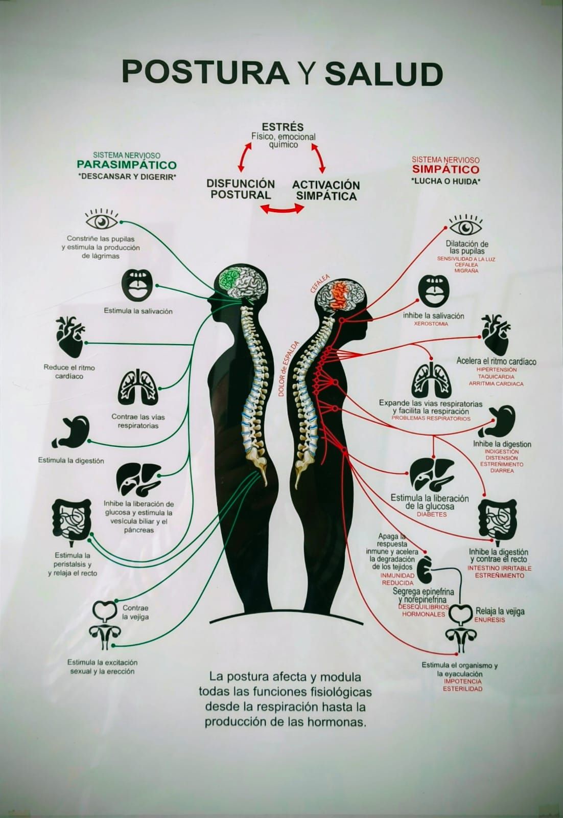 Christian Alejandro Perea Bouchain-2