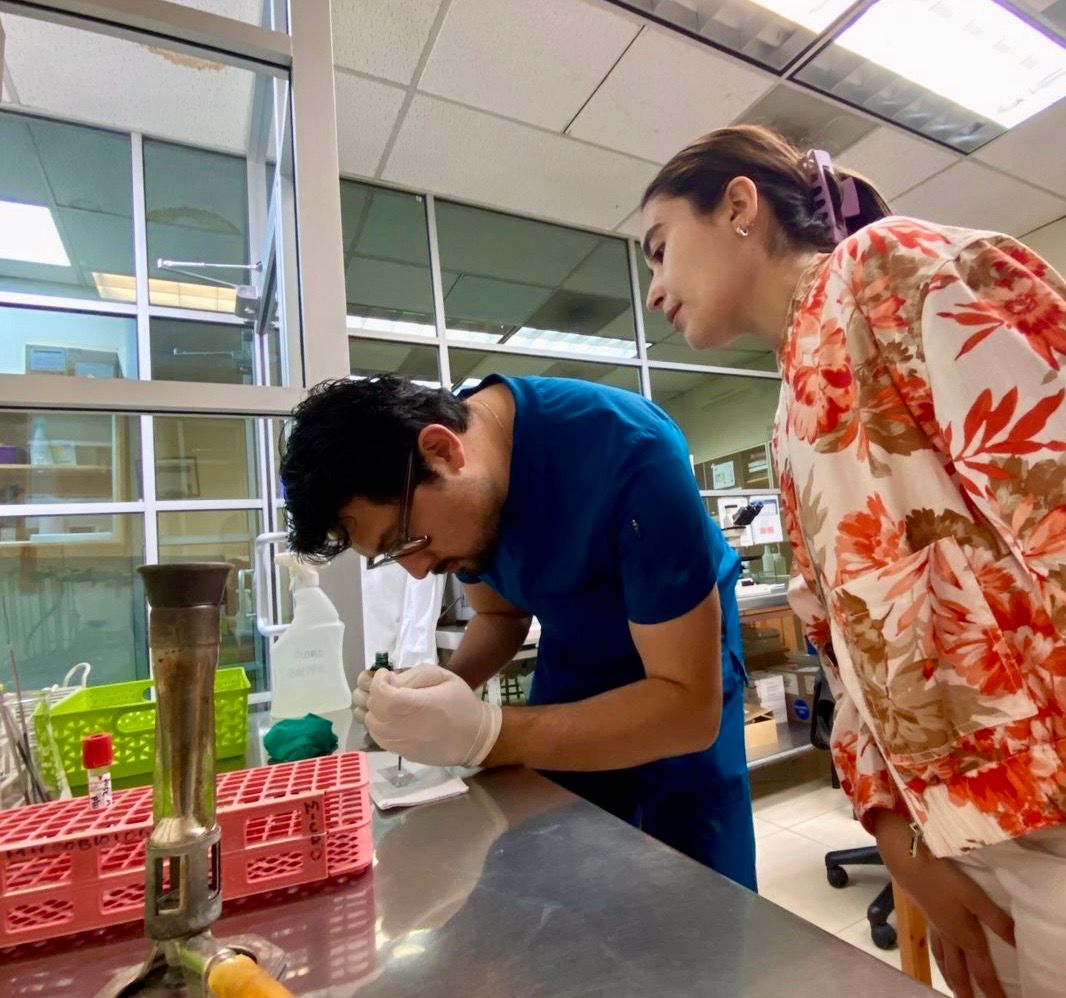 Cessar Ornelas Ledesma-4