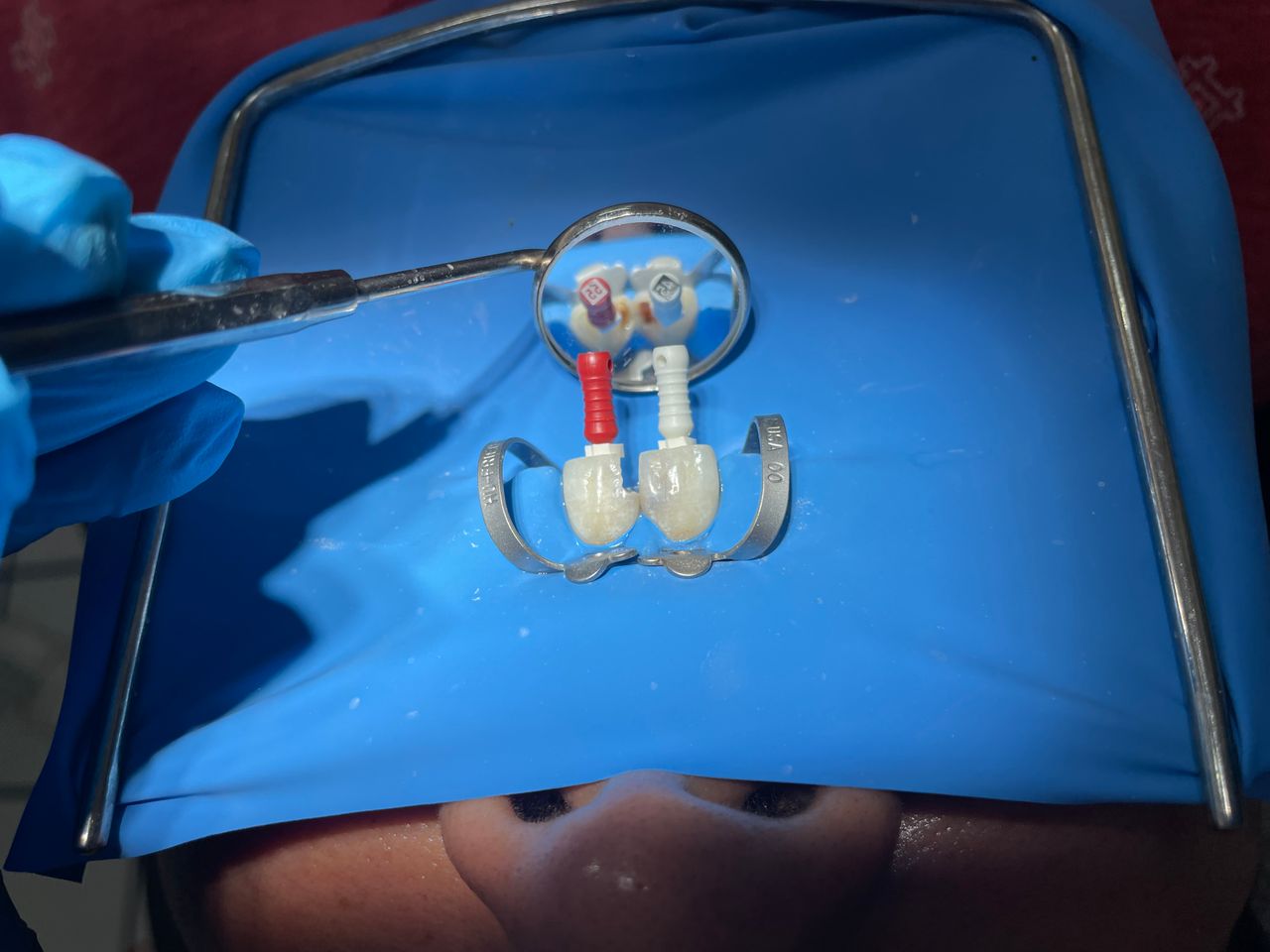 Valeria Muñoz Balboa-14