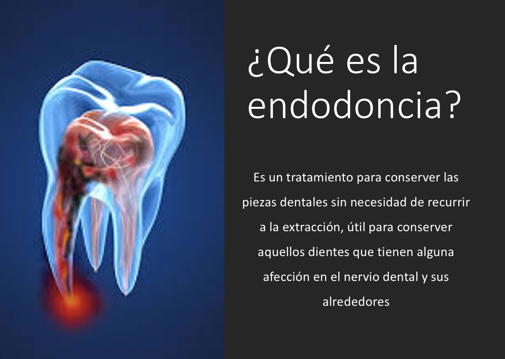 Lizzie Ibarra Domínguez-4