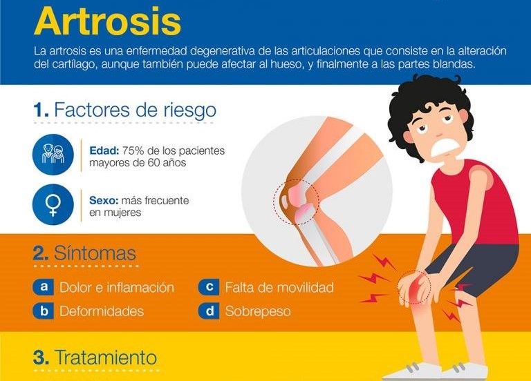 Oscar Gallegos Hernández-11