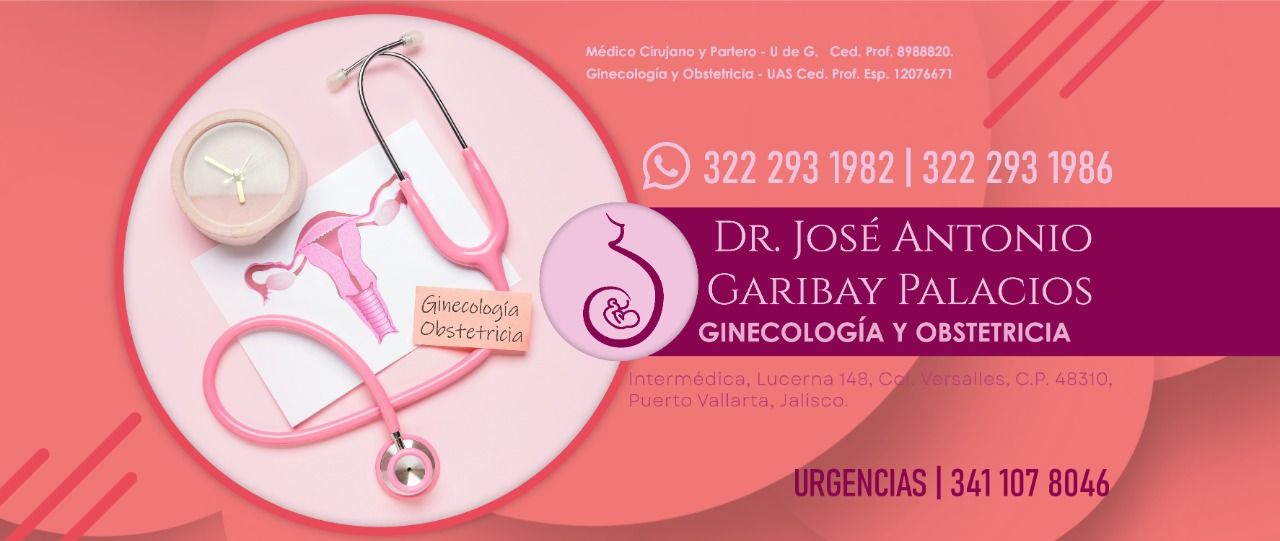 José Antonio Garibay Palacios-0