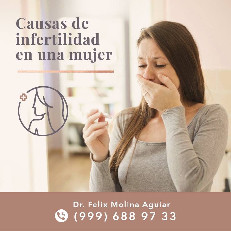 Félix José Molina Aguiar-12