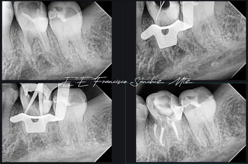 Francisco Sánchez Martínez-3