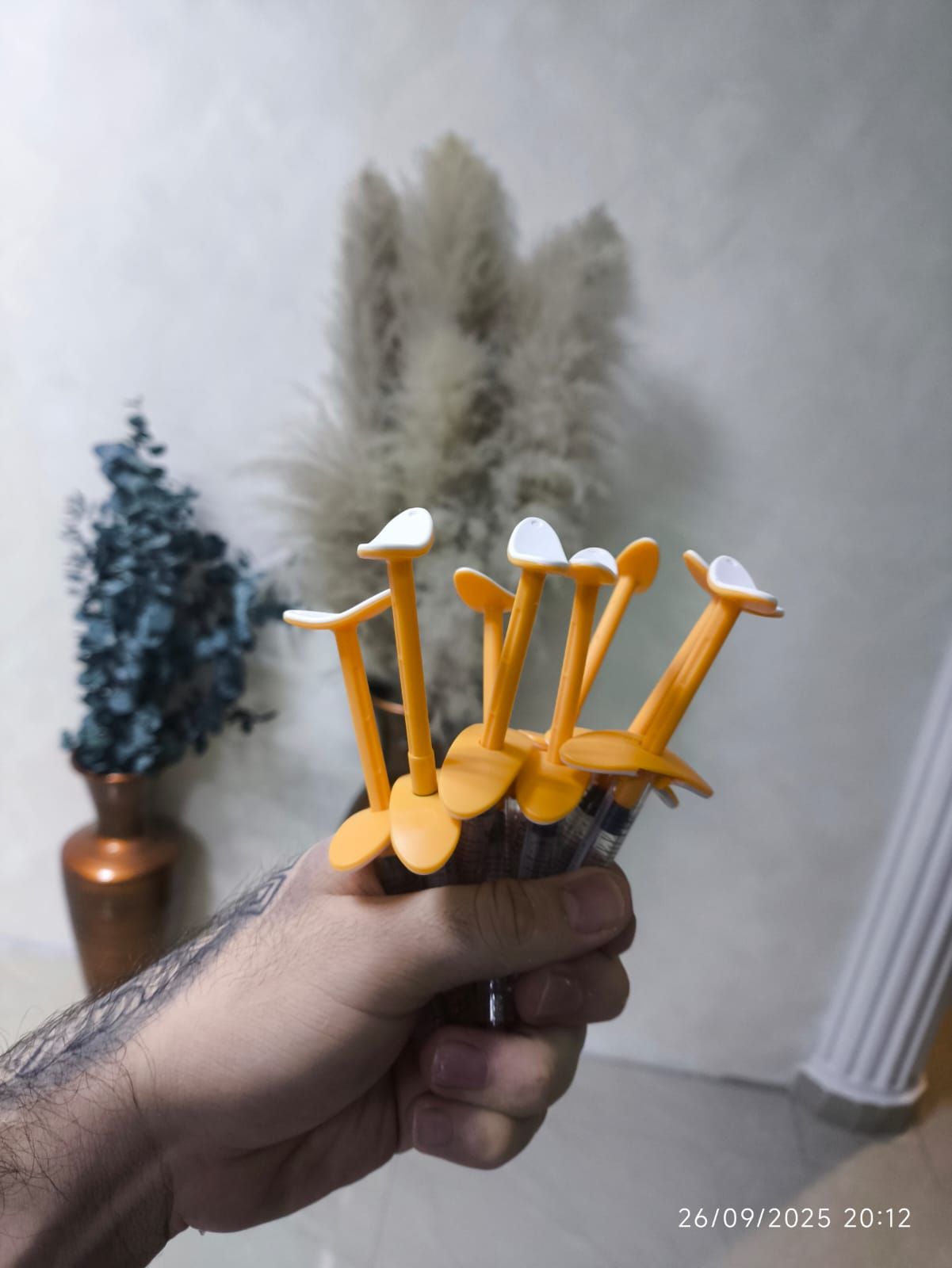 Marco Antonio Sanchez Hernandez-4