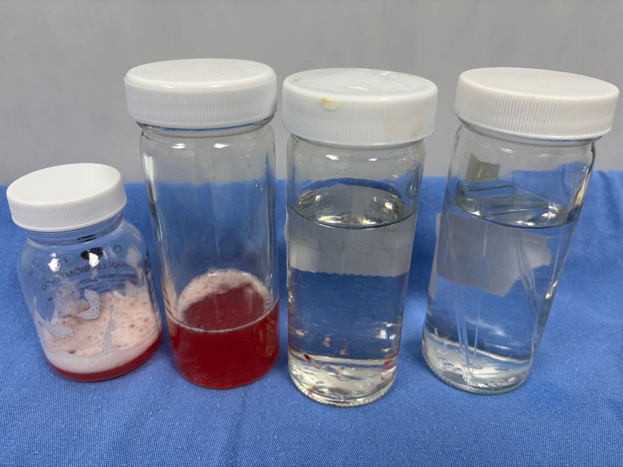 Guadalupe Vázquez Tapia-3