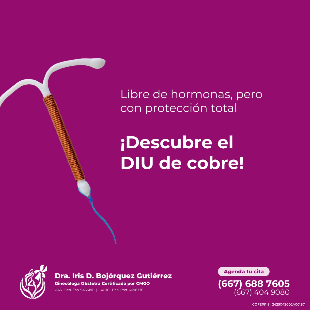 Iris Dayanara Bojorquez Gutierrez-5