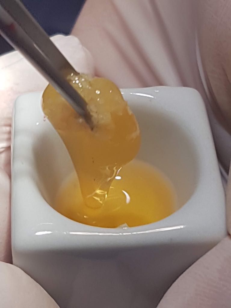 Zeyda Oliman Hoyos-5