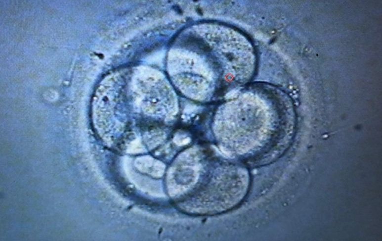 Griselda Reyes Torres-106