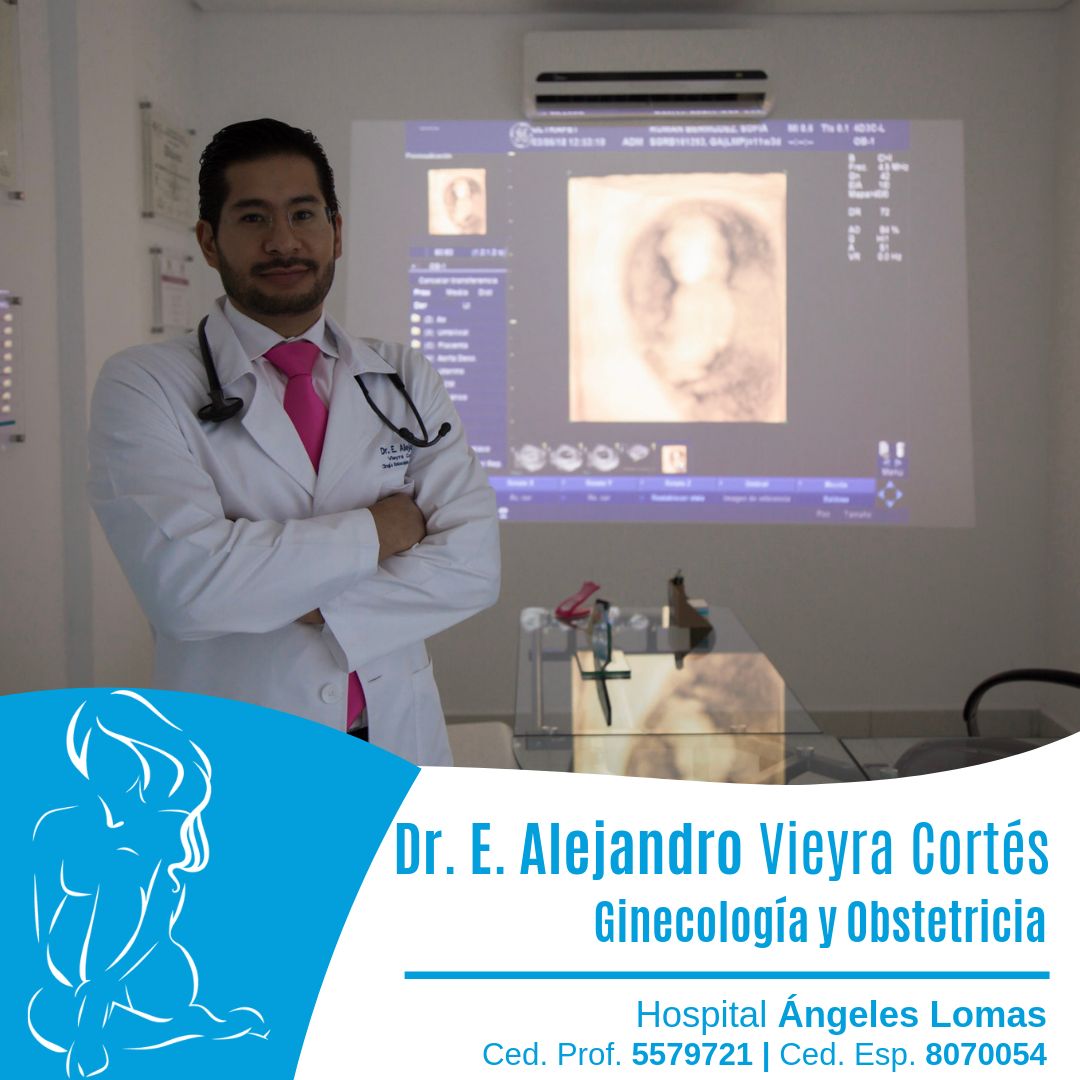Edmundo Alejandro Vieyra Cortes-14