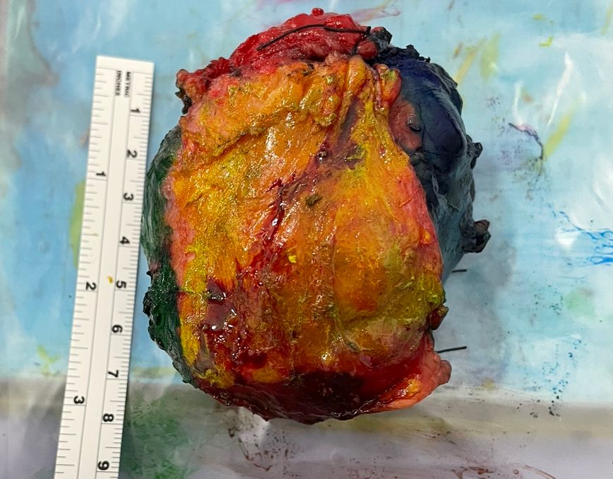 Juan José Solano Perez-6