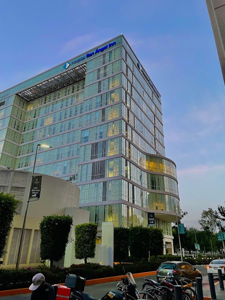 David Asahel Alonso Alanis-2