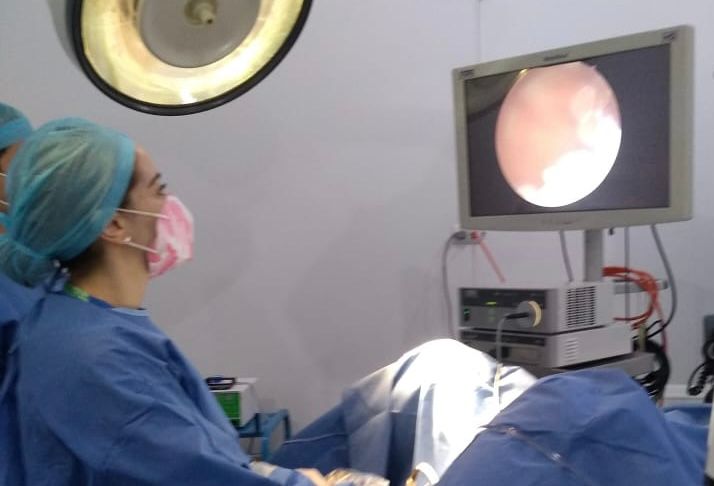 Karla Yadira Ayala Pérez-4