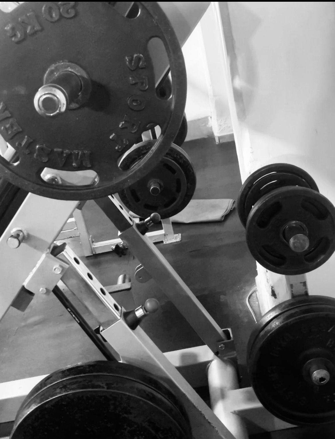 Estefania Alvarez Hernandez-6