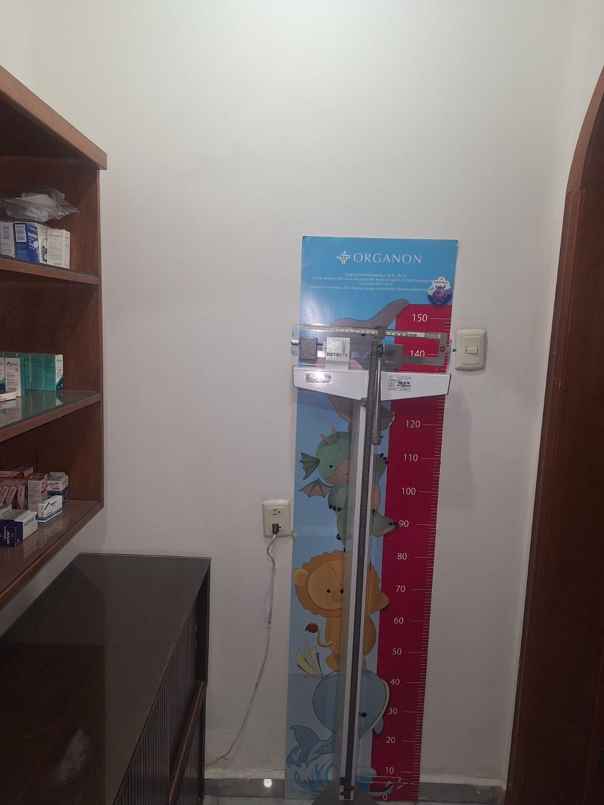 María Isabel Castrejón Vázquez-2