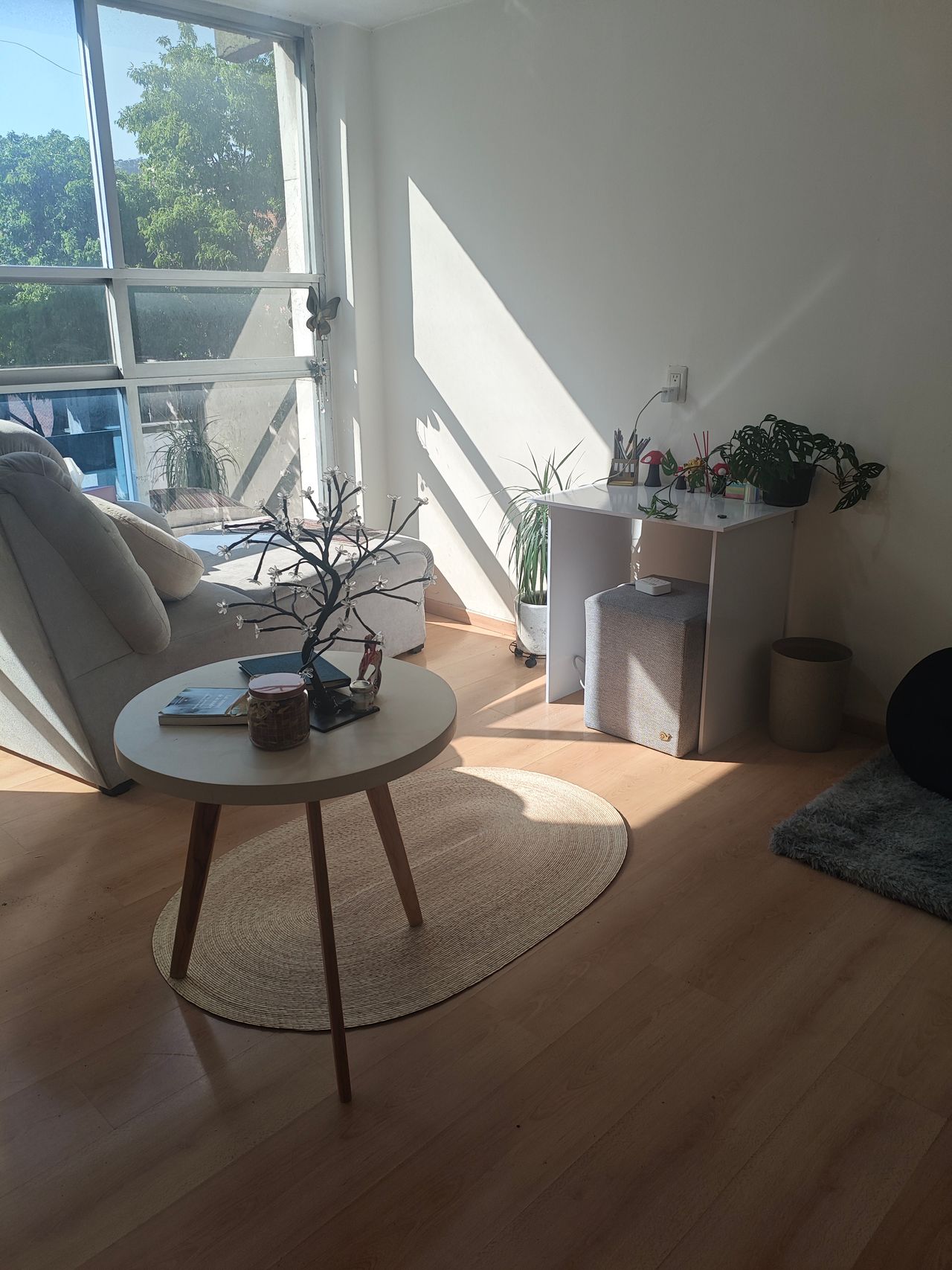 Mariana Domínguez Benítez-2