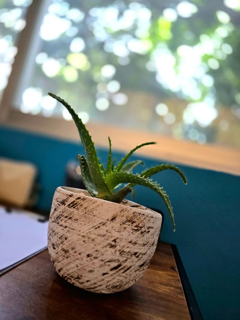 Marina Rodríguez Vázquez-4