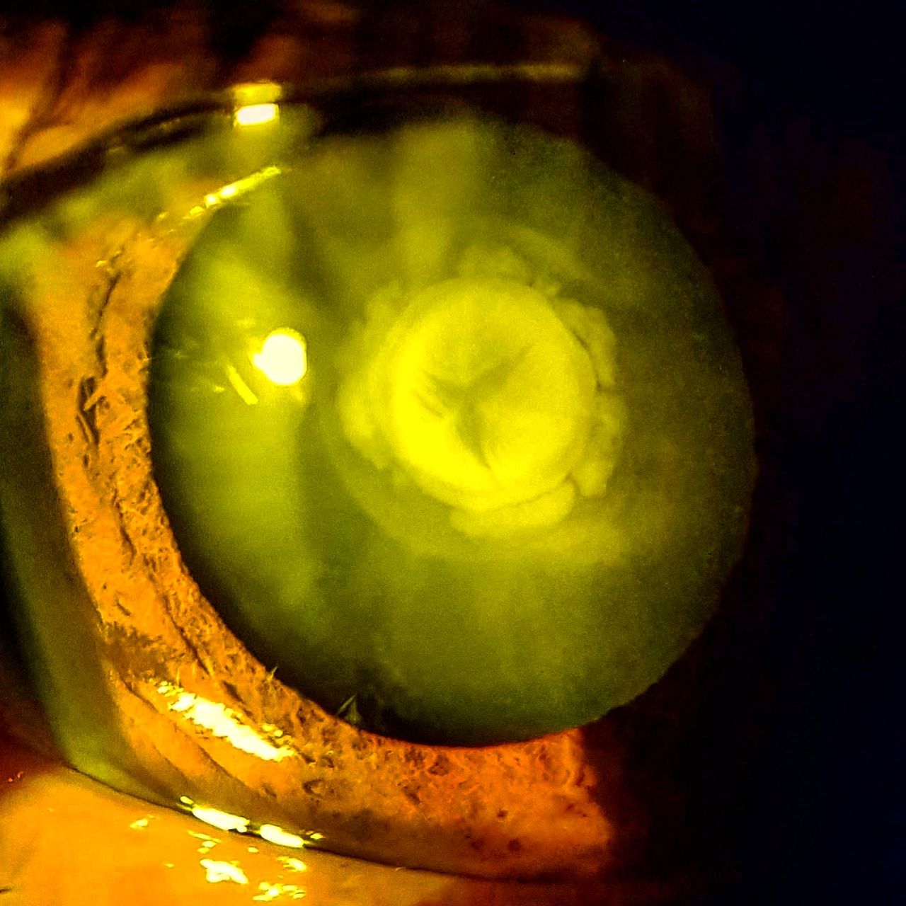 Rocío Escárcega Servín-4