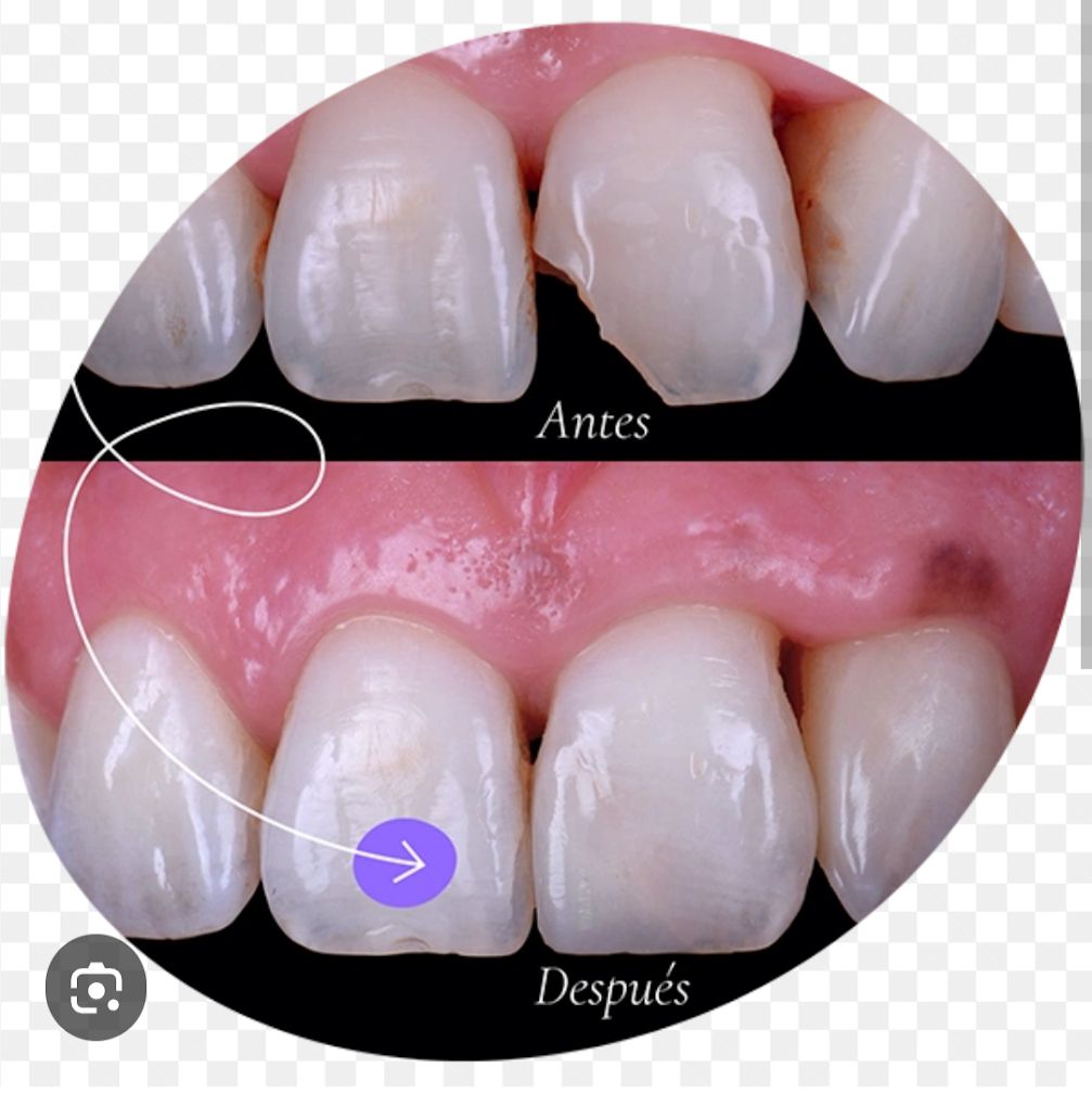 María Del Carmen Lara Valdovinos-8