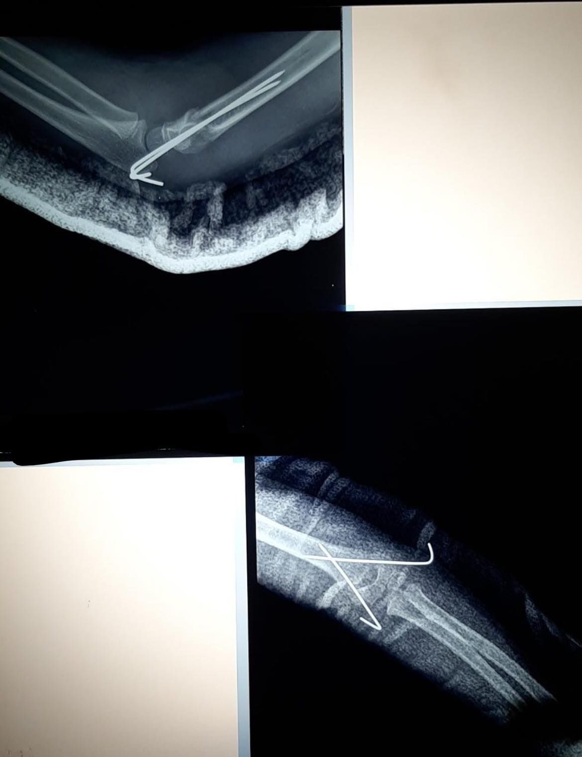 Felix Alfaro Arias-21